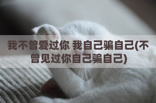 我不曾爱过你 我自己骗自己(不曾见过你自己骗自己)