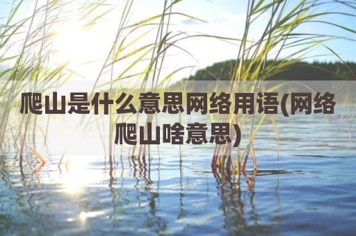 爬山是什么意思网络用语(网络爬山啥意思)