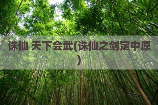 诛仙 天下会武(诛仙之剑定中原)