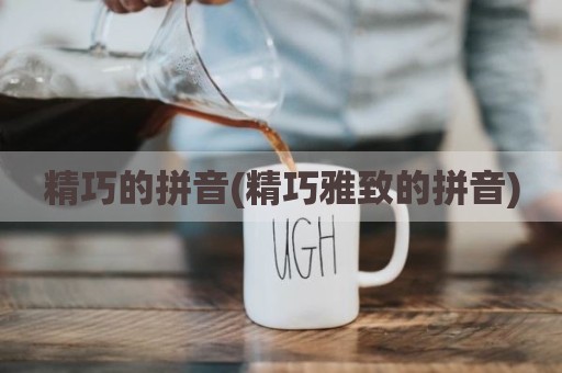 精巧的拼音(精巧雅致的拼音)
