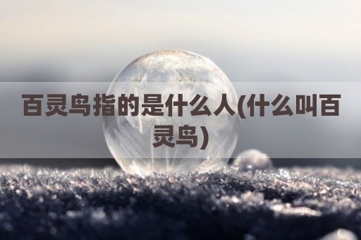 百灵鸟指的是什么人(什么叫百灵鸟)
