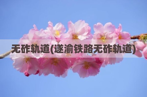 无砟轨道(遂渝铁路无砟轨道)