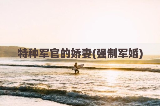 特种军官的娇妻(强制军婚)