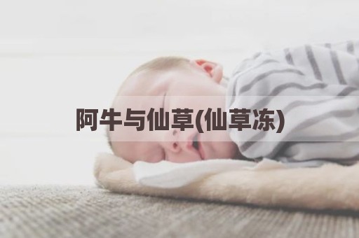 阿牛与仙草(仙草冻)