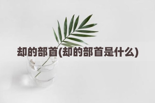 却的部首(却的部首是什么)