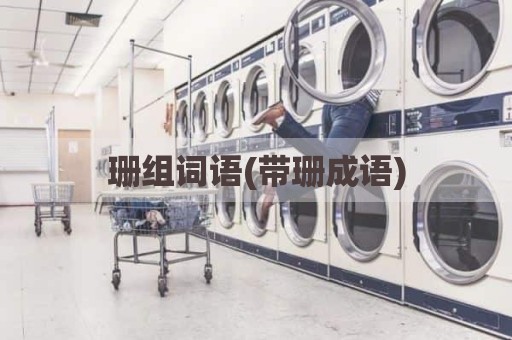 珊组词语(带珊成语)