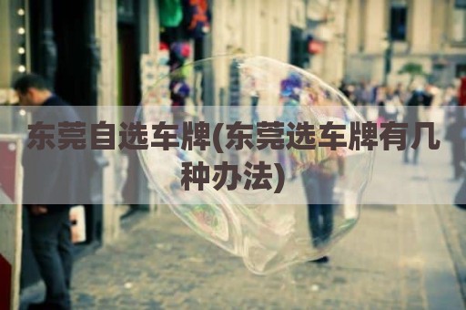 东莞自选车牌(东莞选车牌有几种办法)