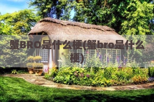 蟹BRO是什么梗(蟹bro是什么梗)