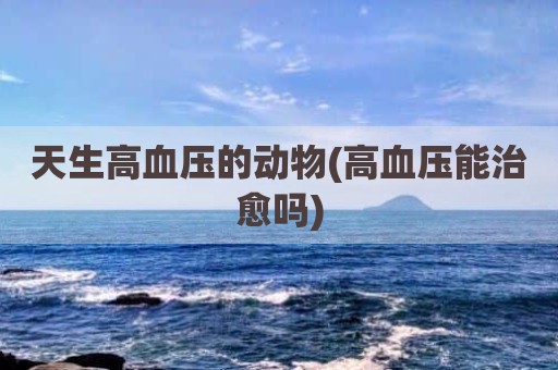 天生高血压的动物(高血压能治愈吗)