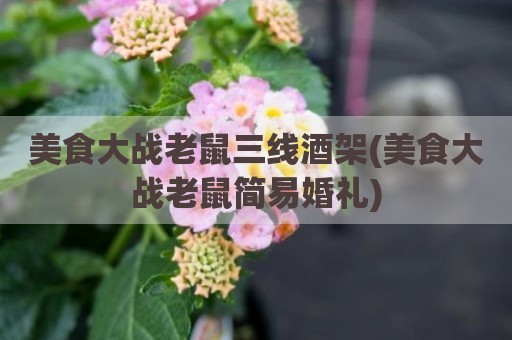 美食大战老鼠三线酒架(美食大战老鼠简易婚礼)