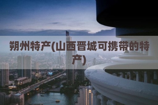 朔州特产(山西晋城可携带的特产)