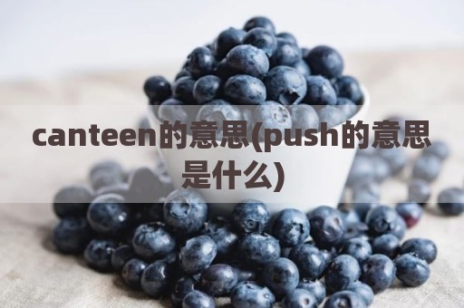 canteen的意思(push的意思是什么)