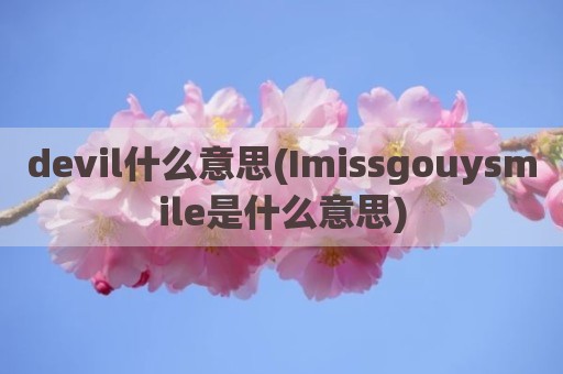 devil什么意思(Imissgouysmile是什么意思)