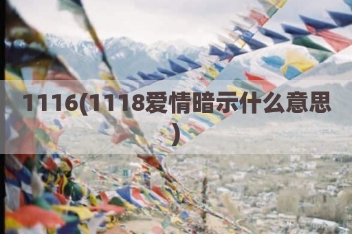 1116(1118爱情暗示什么意思)