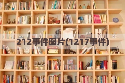 212事件图片(1217事件)