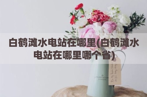 白鹤滩水电站在哪里(白鹤滩水电站在哪里哪个省)