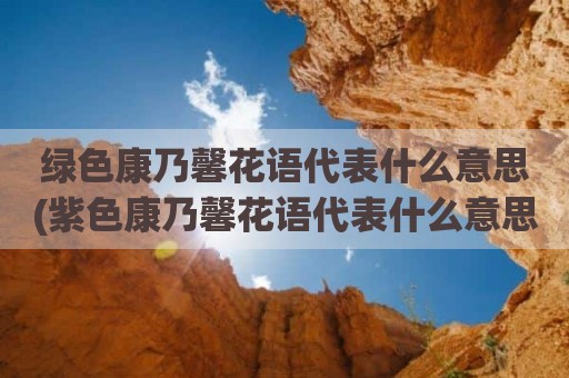 绿色康乃馨花语代表什么意思(紫色康乃馨花语代表什么意思)