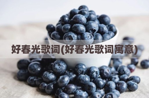 好春光歌词(好春光歌词寓意)