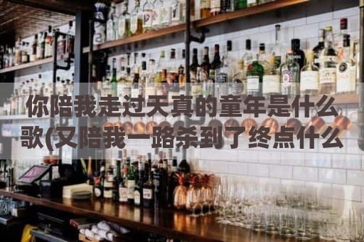 你陪我走过天真的童年是什么歌(又陪我一路杀到了终点什么歌)