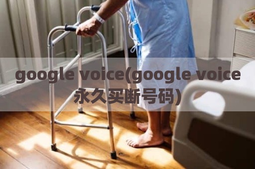 google voice(google voice永久买断号码)