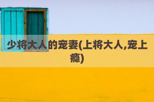 少将大人的宠妻(上将大人,宠上瘾)
