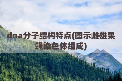 dna分子结构特点(图示雌雄果蝇染色体组成)