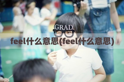 feel什么意思(feel什么意思)