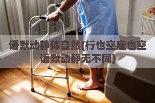 语默动静体自然(行也空座也空语默动静无不同)