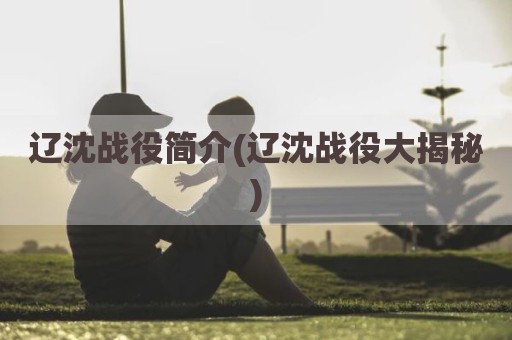 辽沈战役简介(辽沈战役大揭秘)