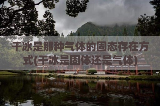 干冰是那种气体的固态存在方式(干冰是固体还是气体)