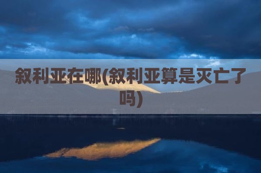 叙利亚在哪(叙利亚算是灭亡了吗)