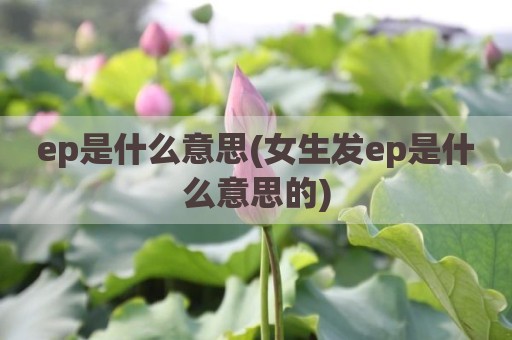 ep是什么意思(女生发ep是什么意思的)