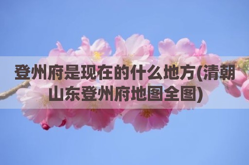 登州府是现在的什么地方(清朝山东登州府地图全图)