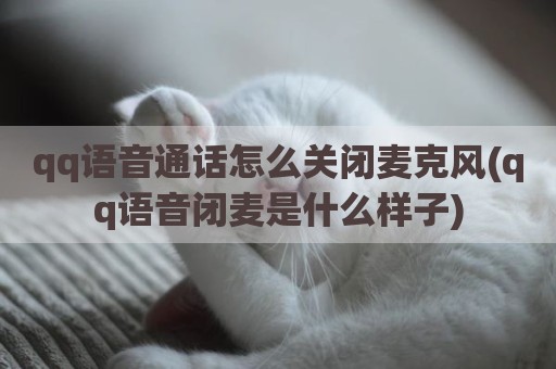 qq语音通话怎么关闭麦克风(qq语音闭麦是什么样子)