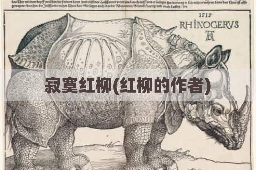 寂寞红柳(红柳的作者)