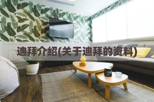 迪拜介绍(关于迪拜的资料)