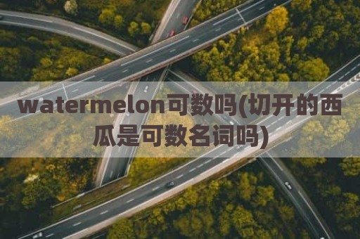 watermelon可数吗(切开的西瓜是可数名词吗)