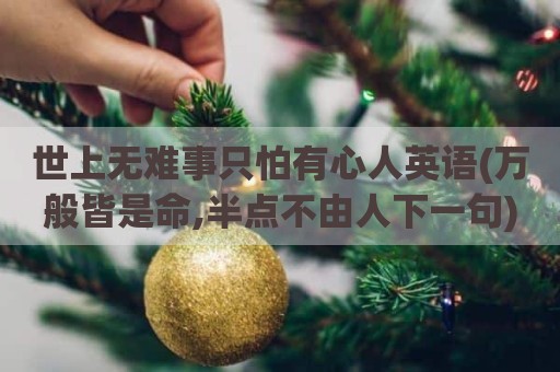 世上无难事只怕有心人英语(万般皆是命,半点不由人下一句)