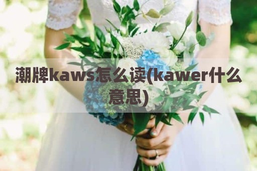 潮牌kaws怎么读(kawer什么意思)