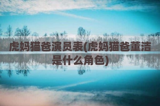 虎妈猫爸演员表(虎妈猫爸董洁是什么角色)