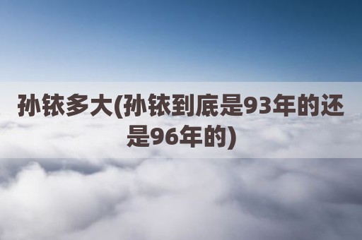 孙铱多大(孙铱到底是93年的还是96年的)