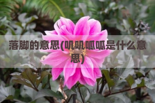 落脚的意思(叽叽呱呱是什么意思)