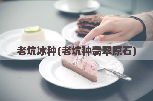 老坑冰种(老坑种翡翠原石)