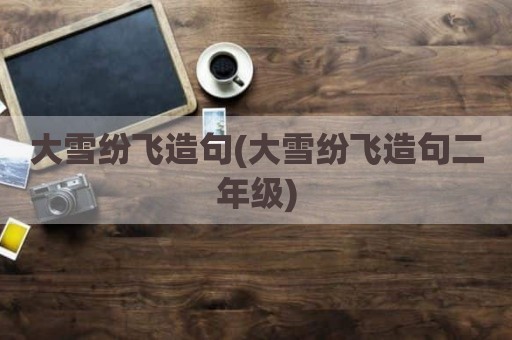 大雪纷飞造句(大雪纷飞造句二年级)