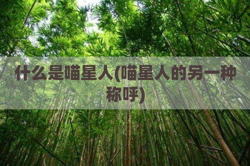 什么是喵星人(喵星人的另一种称呼)