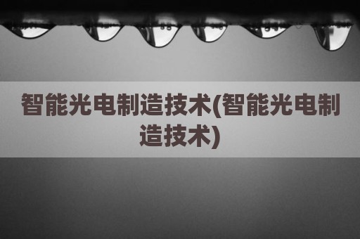 智能光电制造技术(智能光电制造技术)
