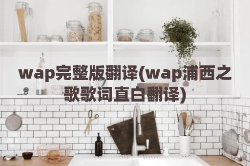 wap完整版翻译(wap浦西之歌歌词直白翻译)