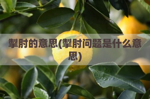 掣肘的意思(掣肘问题是什么意思)