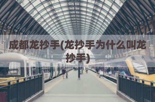 成都龙抄手(龙抄手为什么叫龙抄手)