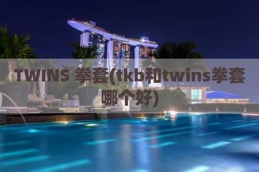 TWINS 拳套(tkb和twins拳套哪个好)